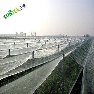 Filet de <span class=keywords><strong>protection</strong></span> anti-grêle pour arbres fruitiers en tricot warp, filet de <span class=keywords><strong>protection</strong></span> anti-grêle pour fruits agricoles - Product Image 3