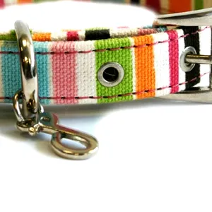 High quality pet supplies colorful dog cat collar