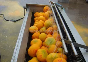 Spazzola Zucca Lavatrice/Zucca Peeling Macchina