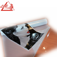 Eco Solvent Selbst klebende abnehmbare transparente klare PVC-Inkjet-bedruckbare Vinyl folie für Glasfenster schild, Dekoration