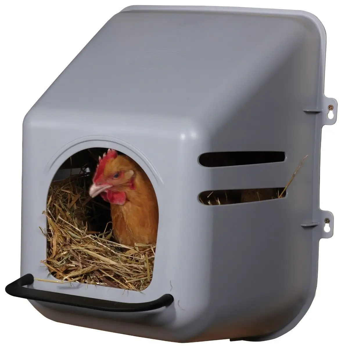 Große Nesting Box Wand halterung Heavy Duty Kunststoff Huhn Geflügel Hen Egg Nest