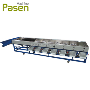 Machine à trier automatique pour l'ail, pour le triage d'ail, les oignons, trieuse d'ail - Product Image 5