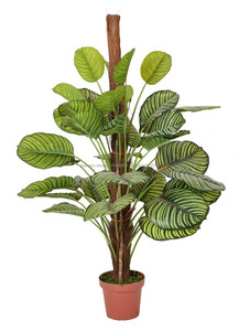 2017 chino <span class=keywords><strong>bonsai</strong></span> árbol artificial <span class=keywords><strong>bonsai</strong></span> plantas de aire bosai manzanos en venta - Product Image 3