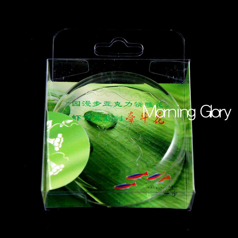 ผักบุ้ง