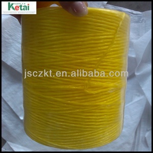 Tratamiento uv agricultura <span class=keywords><strong>pp</strong></span> tomate Guita cadena fábrica - Product Image 3