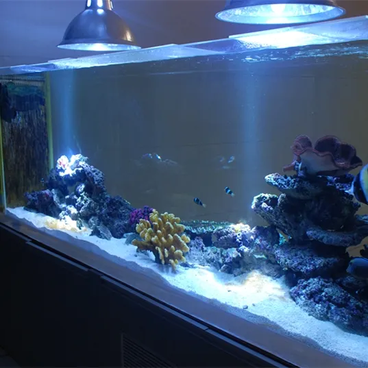 ขายร้อน Clear ถังปลาสแควร์อะคริลิค Aquarium