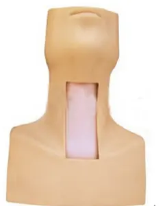 Advanced human tracheotomy intubation training model