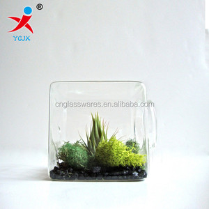 Neues Design Quadratisches Glasgefäß Glas-<span class=keywords><strong>Terrarium</strong></span> für Pflanzen - Product Image 2