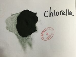Poudre de chlorella cassée à paroi cellulaire organique <span class=keywords><strong>en</strong></span> <span class=keywords><strong>vrac</strong></span> - Product Image 2