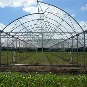 small size and small size agricultural vegetable greenhouses for sale