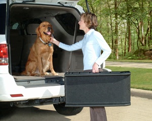 Rampa de coche para perros, cama plegable telescópica de plástico, escalones de aluminio, escalera de <span class=keywords><strong>piscina</strong></span> ajustable para mascotas - Product Image 5