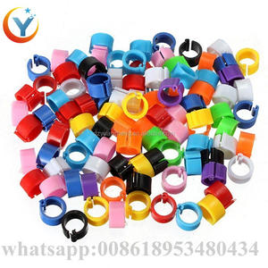 Op Maat Gemaakte Plastic Duivenpootring, Vogelring Een Postende Duivenvoetring-Tag Identificatie - Product Image 6