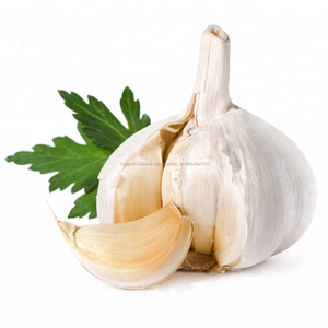 China <span class=keywords><strong>elefante</strong></span> de <span class=keywords><strong>ajo</strong></span> blanco fresco de 5 cm, 7 kg bolsa de malla para la <span class=keywords><strong>venta</strong></span> - Product Image 6