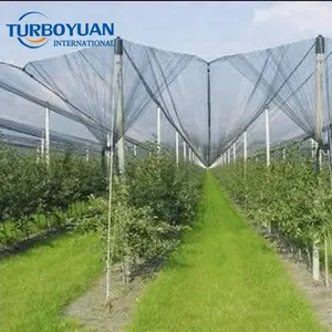 UV dayanıklı tarım anti net elma ağacı hail hail vineyard koruma ağı