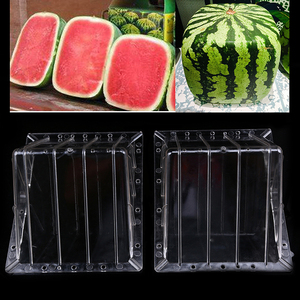 2024 Klar wachsender Schimmel quadratische Form Wassermelone transparentes Fruchtwachstum formender Form schimmel Garten Lieferant - Product Image 1