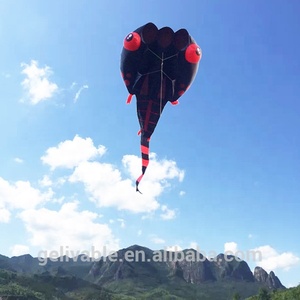 Trung Quốc 8 mét vuông dòng duy nhất lớn Nòng Nọc 3D mềm Inflatable nâng lên diều - Product Image 3