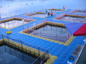 Quai flottant modulaire de ponton en plastique d'aquaculture pour la cage de pêche - Product Image 3