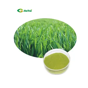 Organische Gerste Gras Saft Pulver Gerste Gras Pulver