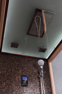 Custom Indoor Modern <strong>Home</strong> Combined Cabin 4 People Large Steam Ozone Shower Dry <strong>Sauna</strong> <strong>Room</strong>