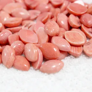 Venta al por mayor de coral natural - Product Image 1