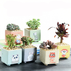 Chậu Hoa Gốm Mô Hình Hoạt Hình Thân Thiện Với Môi Trường Bán Sỉ Haonai - Product Image 5