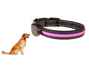 De calidad superior <span class=keywords><strong>Led</strong></span> <span class=keywords><strong>collar</strong></span> de perro <span class=keywords><strong>collar</strong></span> - Product Image 2