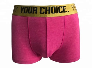 Đàn Ông Giản Dị Đồ Lót Rộng Eo Đàn Hồi Ban Nhạc Đàn Ông Boxer Briefs Quần Short Spandex / Cotton Cộng Với Kích Thước OEM Dịch Vụ Thoáng Khí Nhanh Khô - Product Image 3