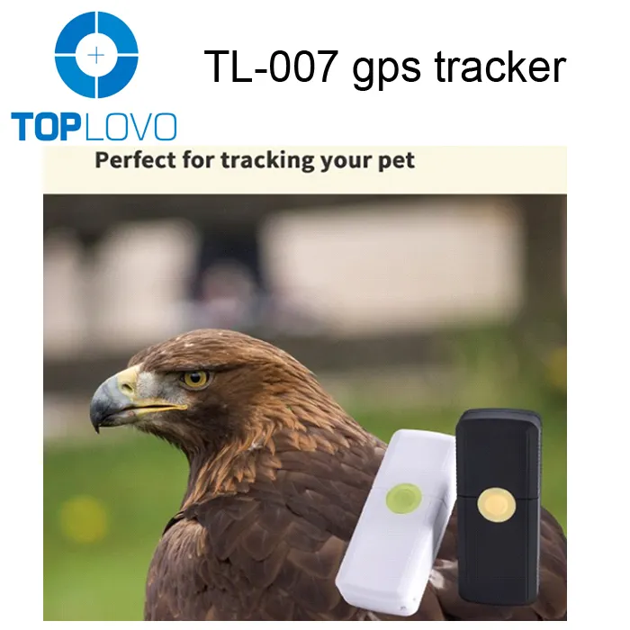 Bán Chạy Nhất Không Thấm Nước Mini Pet GPS Tracker Với Thời Gian Chờ Lâu, Theo Dõi Chó Hoặc Mèo Đáng Yêu Của Bạn