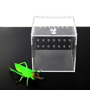 Mini Cage à reptile en plexiglas pour les animaux, bac en acrylique transparente, à motif d'insecte, accessoire de Terrarium - Product Image 4