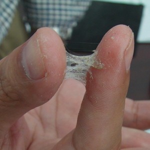 <strong>Attapulgite</strong> <strong>Clay</strong> for Both Desiccant and Binder - Product Image 5