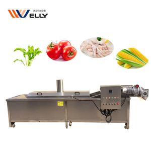 Blanchisseur de fruits à système continu / Machine à blanchir les chips de banane - Product Image 3