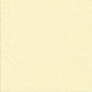 Carrelage en porcelaine brillant pour intérieur et <span class=keywords><strong>extérieur</strong></span> <span class=keywords><strong>60x60</strong></span> - Product Image 2