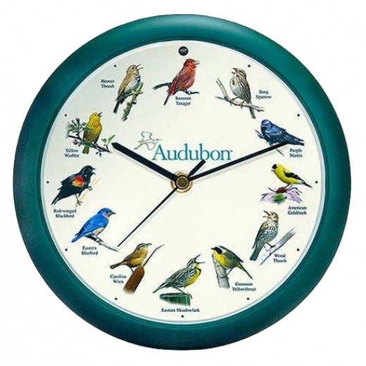 North Amercian birds