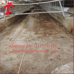 Precio más bajo Chciken Jaulas Venta Aves de Corral Waterer para granja Capa Gallineros de China - Product Image 5