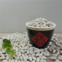 2025作物白芸豆价格/扁豆/烤豆