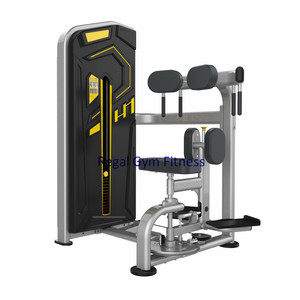 Commerciële Gym Fitness Torso Rotatie Fitness Machine