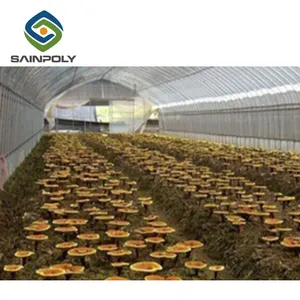 Тенты для выращивания растений, сельскохозяйственные грибы, пластиковая пленка, туннельная тепличная конструкция для продажи