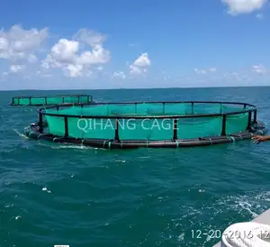 Gaiola de pesca qingyang qihang, rede de pesca marítima tilapia