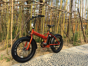Hasky 20 pulgadas de tamaño, dínamo de cubo plegable <span class=keywords><strong>bicicleta</strong></span> eléctrica - Product Image 1