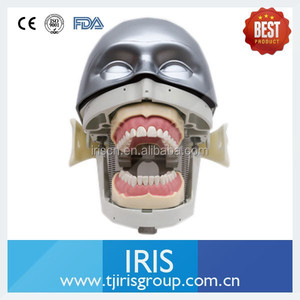 NISSIN maniquíes y modelos Dentales/Fantasma Cabeza Dentales para clases de enseñanza y aprendizaje en dental - Product Image 3