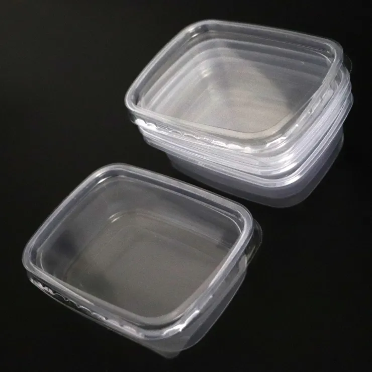 Disposable Plastic Food Packaging Box Food Delivery Box