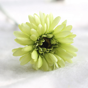 Gerbera Barberton Daisy Africana da 55 cm, Popolare nel 2024, per Decorazioni Casa, Giardino e Matrimoni - Product Image 5