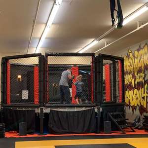 <span class=keywords><strong>Cage</strong></span> <span class=keywords><strong>UFC</strong></span> Factory, <span class=keywords><strong>cage</strong></span> de MMA standard internationale bon marché - Product Image 3