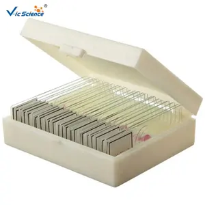 24pcs Basic Human Histology Microscope Tissue Slide Set Histology Slide