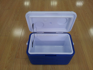 Thổi Đúc Giá Rẻ Và Đầy Màu Sắc Mát Hộp & Di Động Ice Box - Product Image 3