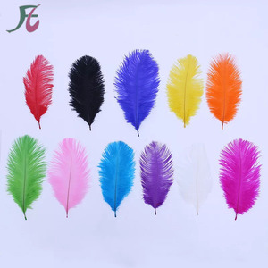 Artificial Ostrich Feathers <strong>Farm</strong> Backyard <strong>Party</strong> <strong>Decoration</strong> - Product Image 1