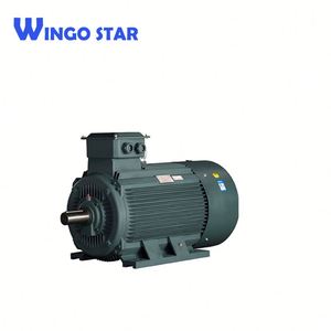 Trifásico <span class=keywords><strong>rotor</strong></span> bobinado inducción motor eléctrico AC - Product Image 4
