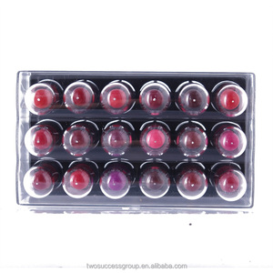 Vente chaude Cosmetics Professional Selected Rouge à lèvres ensemble rouge à lèvres mat imperméable longue durée - Product Image 5