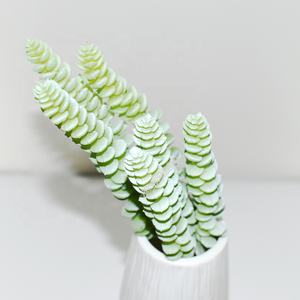 Grama artificial, novo toque verdadeiro decoração interna plástico planta 6 cabeça dinheiro grama suculente - Product Image 4