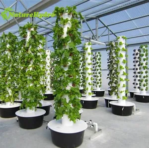 Torres de crescer jardim aeroponic morango vertical sistema aeroponics